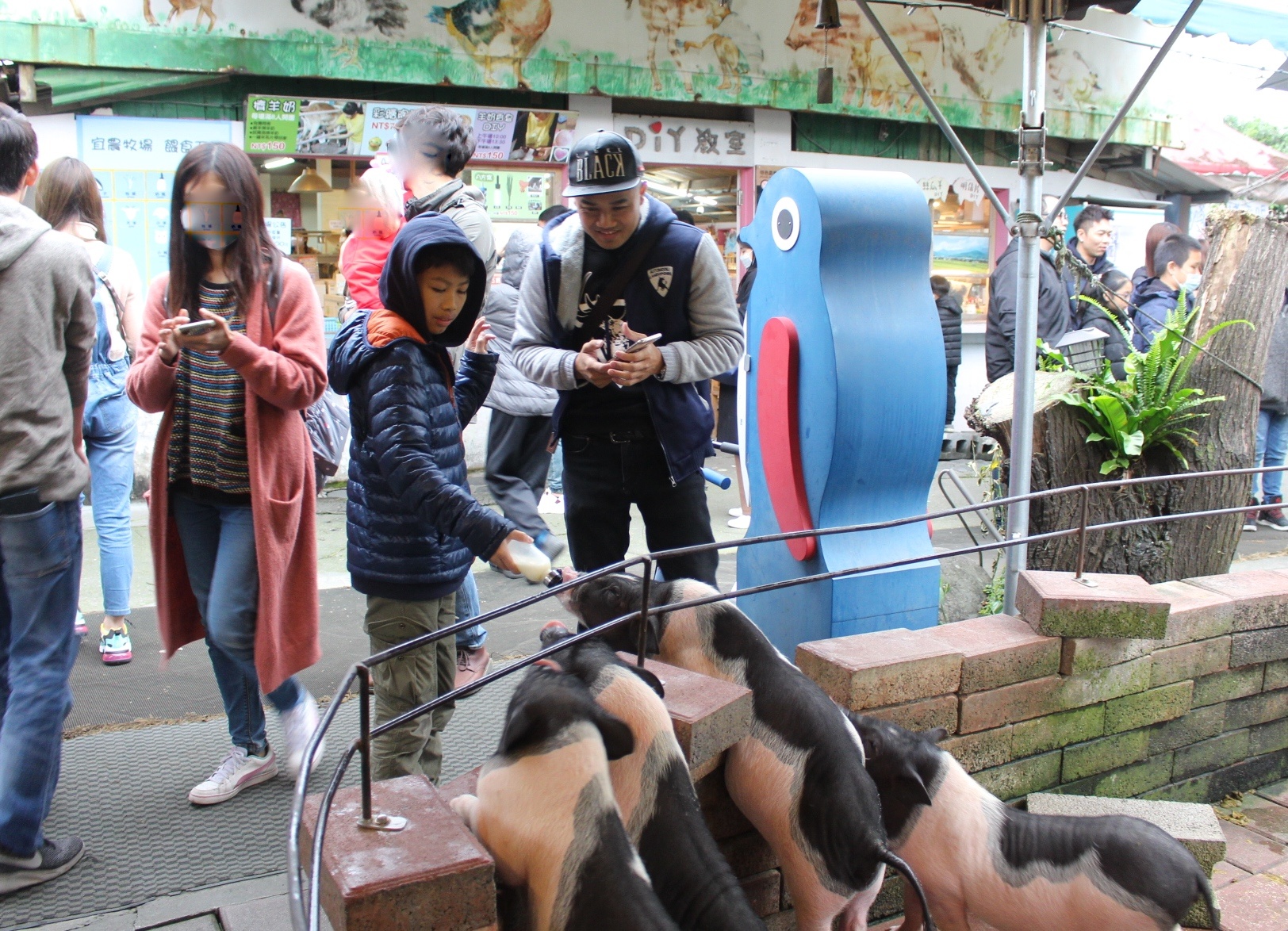 【玩 宜農(nóng)牧場】30元誠實投幣入園．餵食五寶100元可以餵到八種小動物！不限時間、附設(shè)停車場