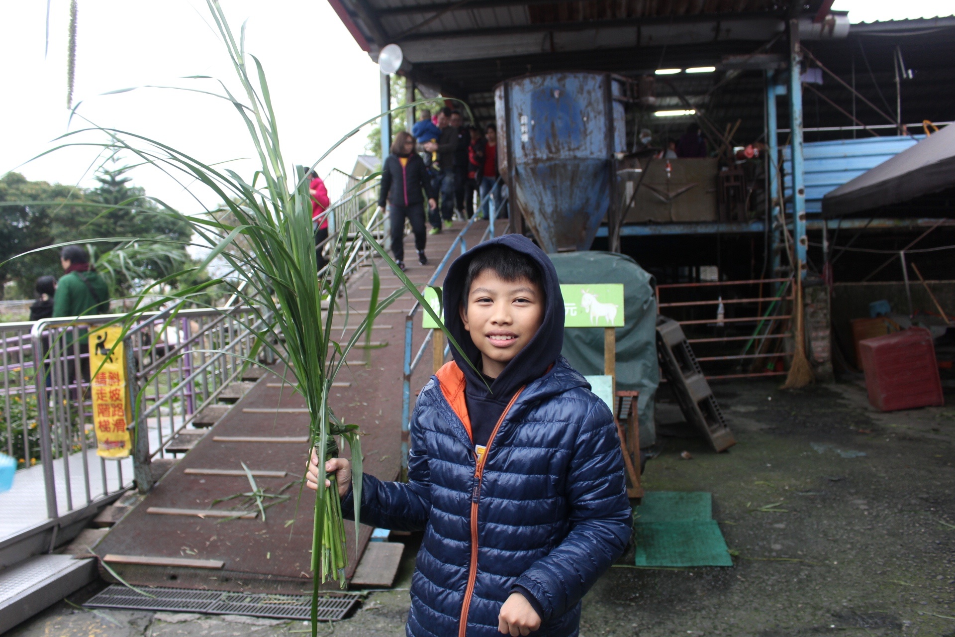 【玩 宜農(nóng)牧場】30元誠實投幣入園．餵食五寶100元可以餵到八種小動物！不限時間、附設(shè)停車場