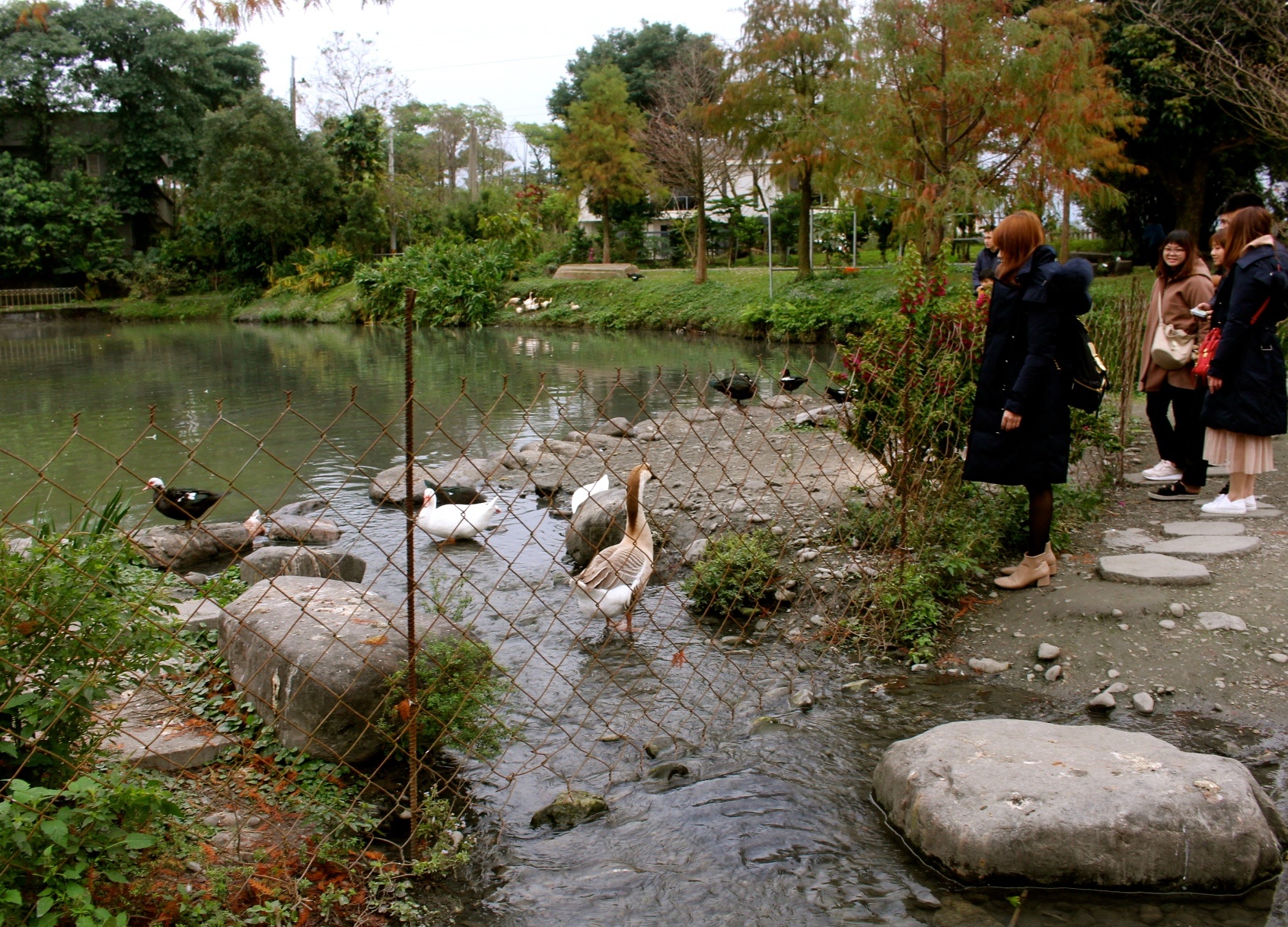 【玩 宜農(nóng)牧場】30元誠實投幣入園．餵食五寶100元可以餵到八種小動物！不限時間、附設(shè)停車場