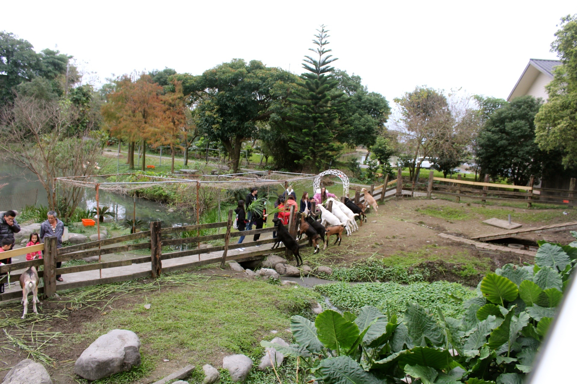 【玩 宜農(nóng)牧場】30元誠實投幣入園．餵食五寶100元可以餵到八種小動物！不限時間、附設(shè)停車場