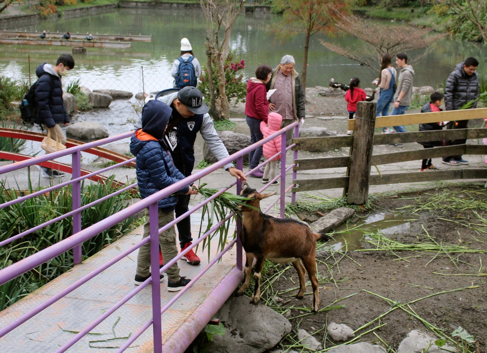 【玩 宜農(nóng)牧場】30元誠實投幣入園．餵食五寶100元可以餵到八種小動物！不限時間、附設(shè)停車場