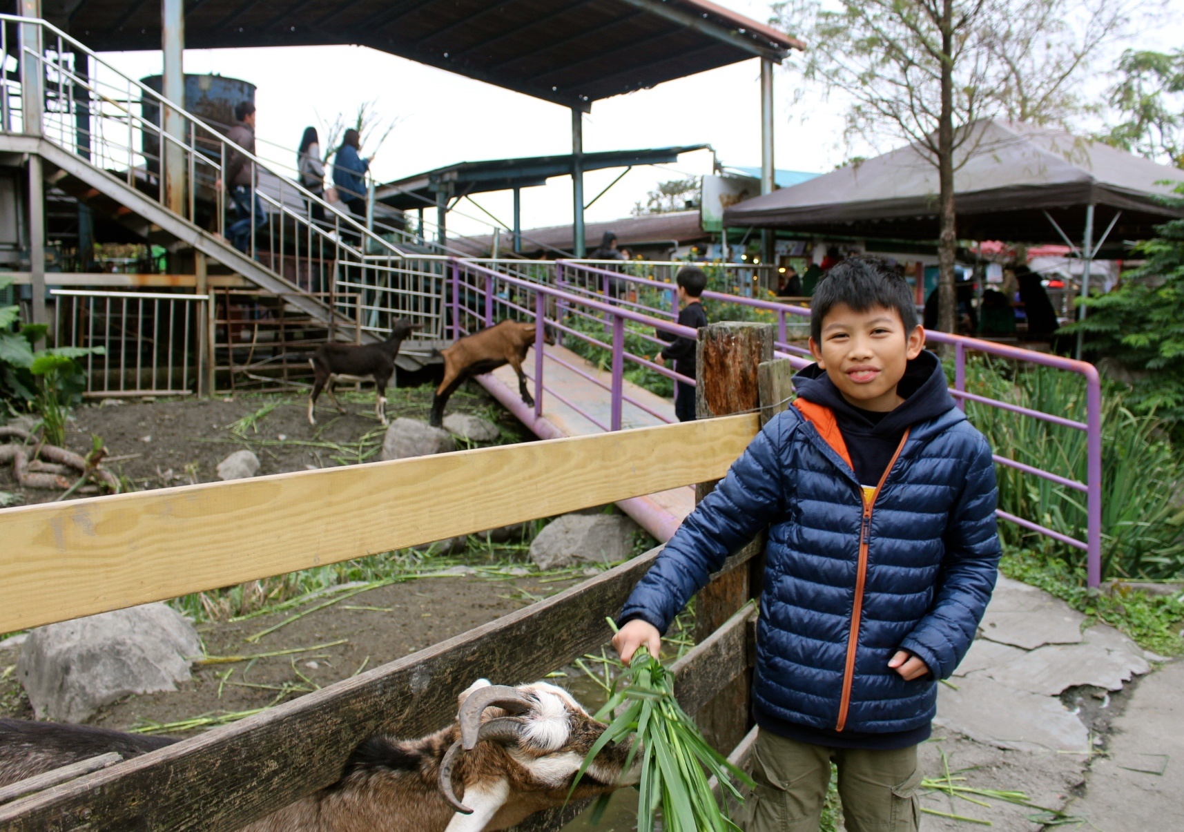 【玩 宜農(nóng)牧場】30元誠實投幣入園．餵食五寶100元可以餵到八種小動物！不限時間、附設(shè)停車場