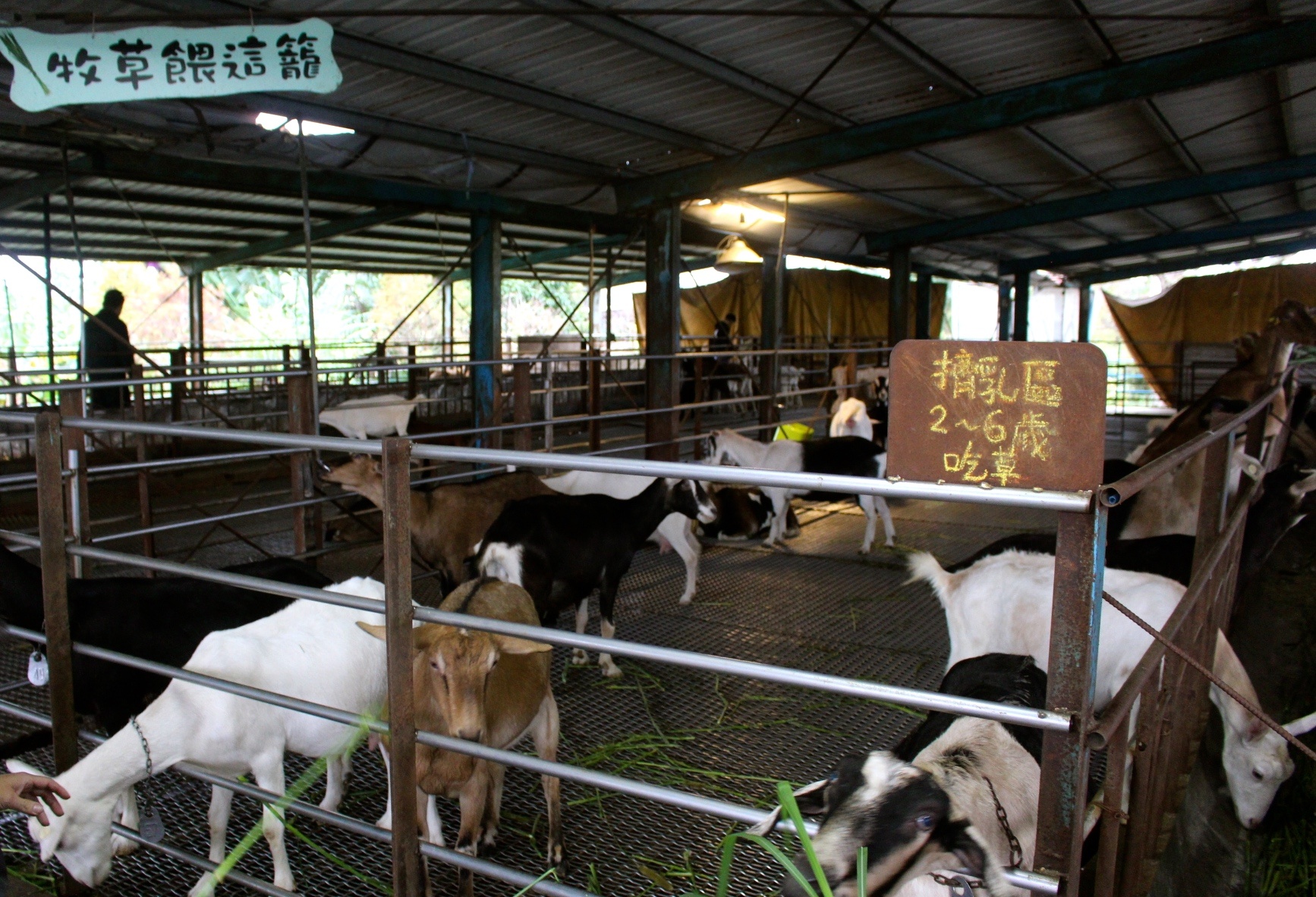 【玩 宜農(nóng)牧場】30元誠實投幣入園．餵食五寶100元可以餵到八種小動物！不限時間、附設(shè)停車場