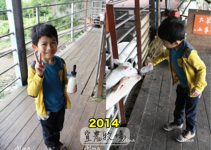 宜農牧場，銅板門票，動物餵食，宜蘭好玩，親子遊