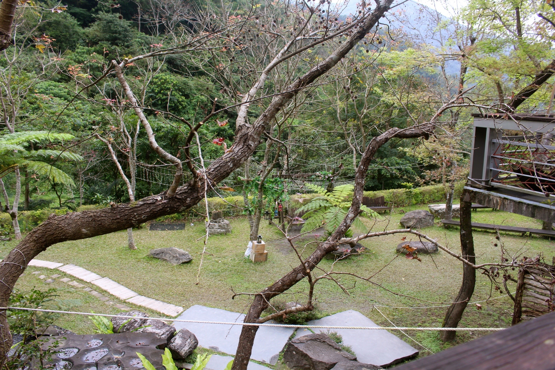 藏酒酒莊