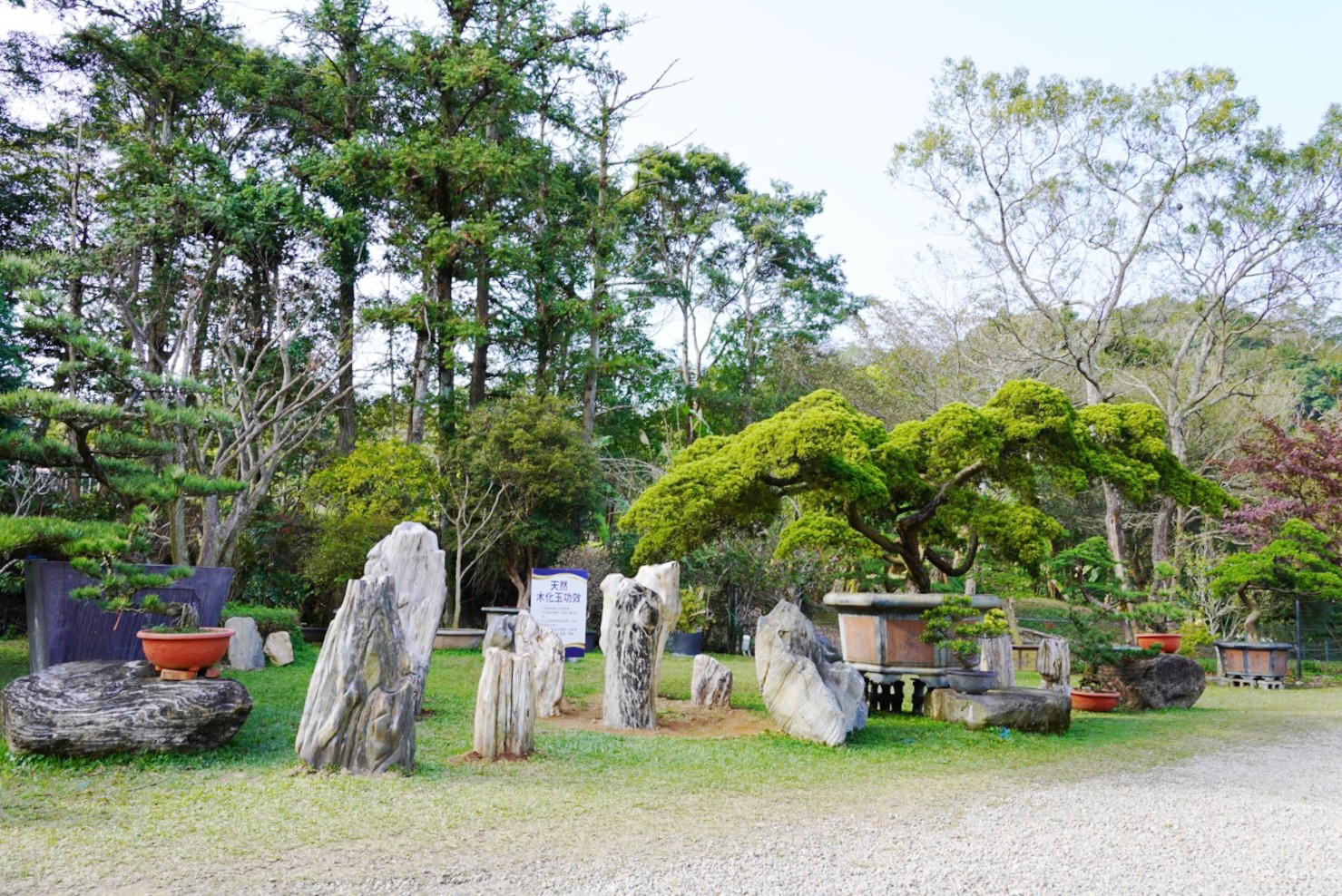 免費景點,大溪景點,桃園好玩,桃園景點,花開了休閒農(nóng)場,親子景點,親子活動,遊戲場,馬達(dá)加斯加車站,麝香豬