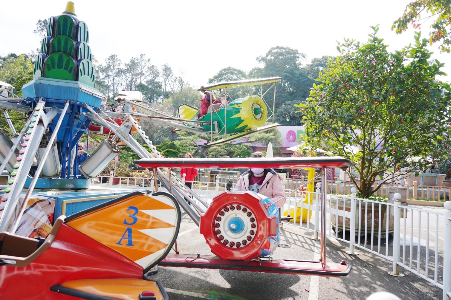 免費景點,大溪景點,桃園好玩,桃園景點,花開了休閒農(nóng)場,親子景點,親子活動,遊戲場,馬達(dá)加斯加車站,麝香豬