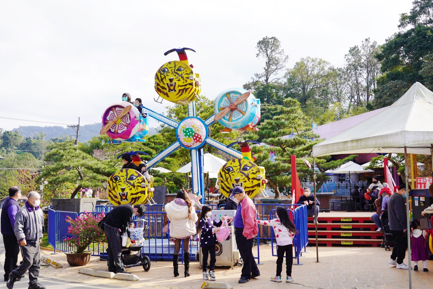 免費景點,大溪景點,桃園好玩,桃園景點,花開了休閒農(nóng)場,親子景點,親子活動,遊戲場,馬達(dá)加斯加車站,麝香豬