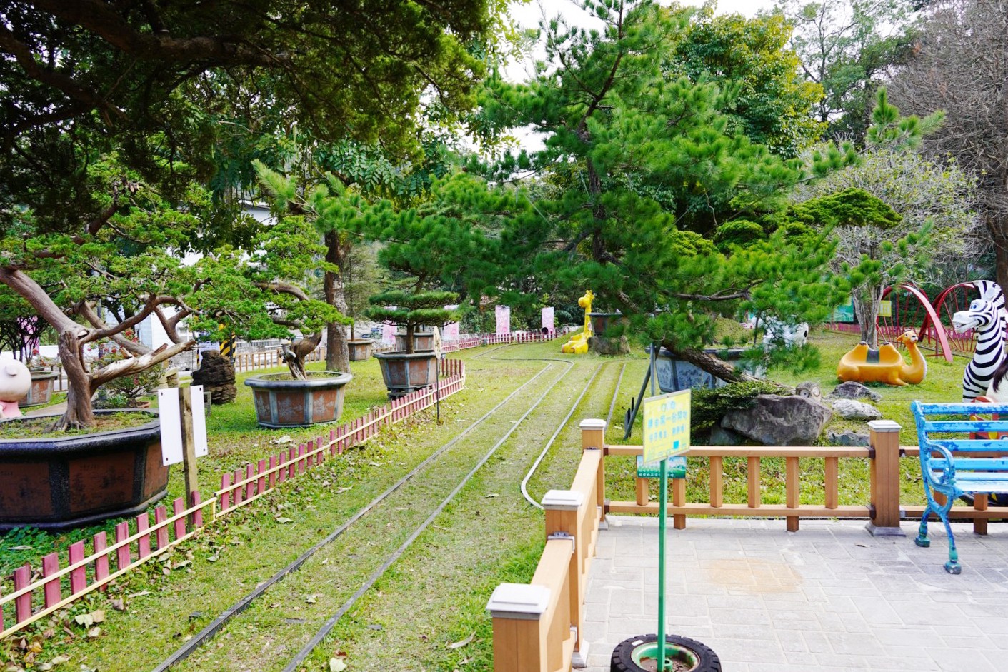 免費景點,大溪景點,桃園好玩,桃園景點,花開了休閒農(nóng)場,親子景點,親子活動,遊戲場,馬達(dá)加斯加車站,麝香豬