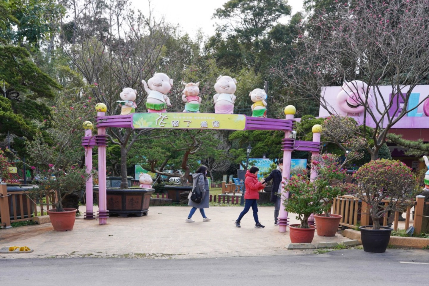 免費景點,大溪景點,桃園好玩,桃園景點,花開了休閒農(nóng)場,親子景點,親子活動,遊戲場,馬達(dá)加斯加車站,麝香豬