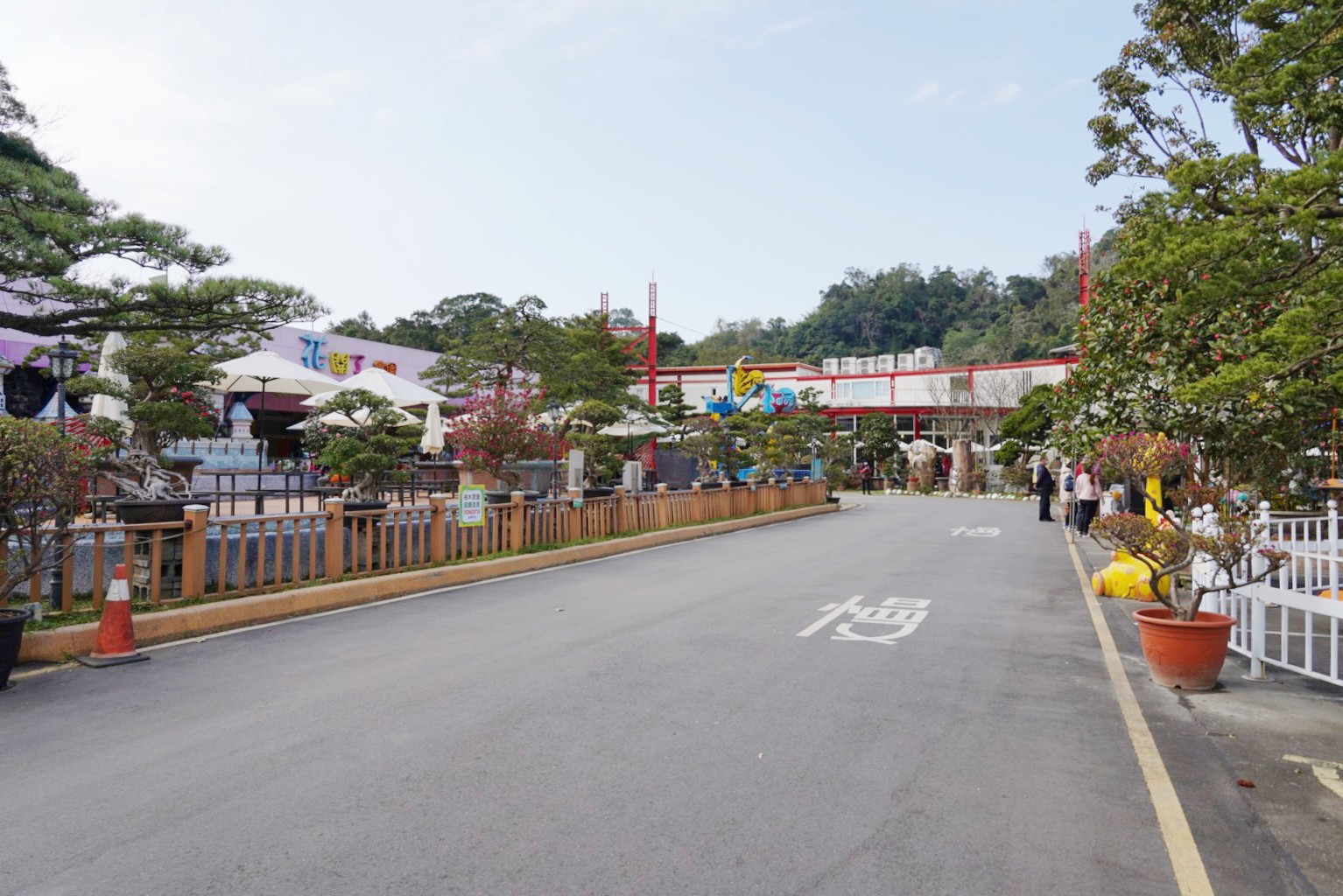 免費景點,大溪景點,桃園好玩,桃園景點,花開了休閒農(nóng)場,親子景點,親子活動,遊戲場,馬達(dá)加斯加車站,麝香豬