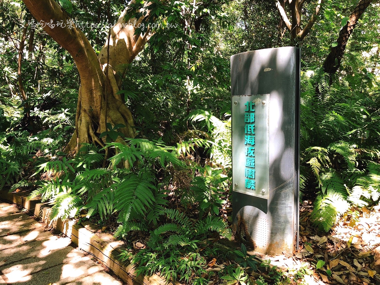 臺中科學博物館植物園