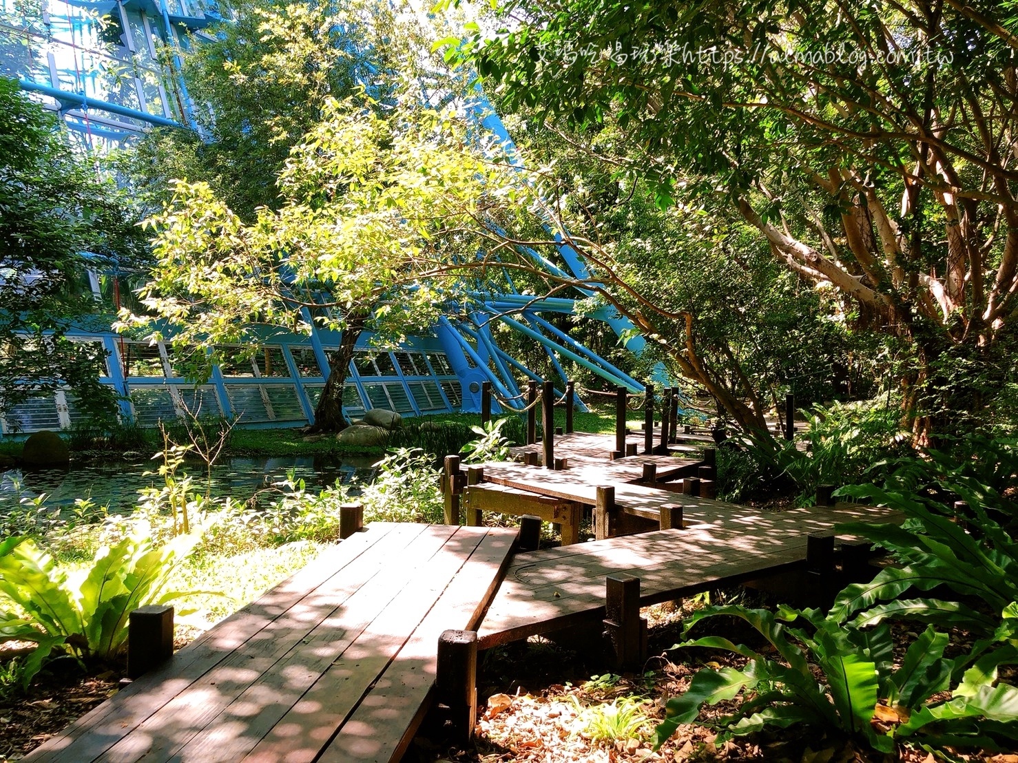 臺(tái)中科學(xué)博物館植物園