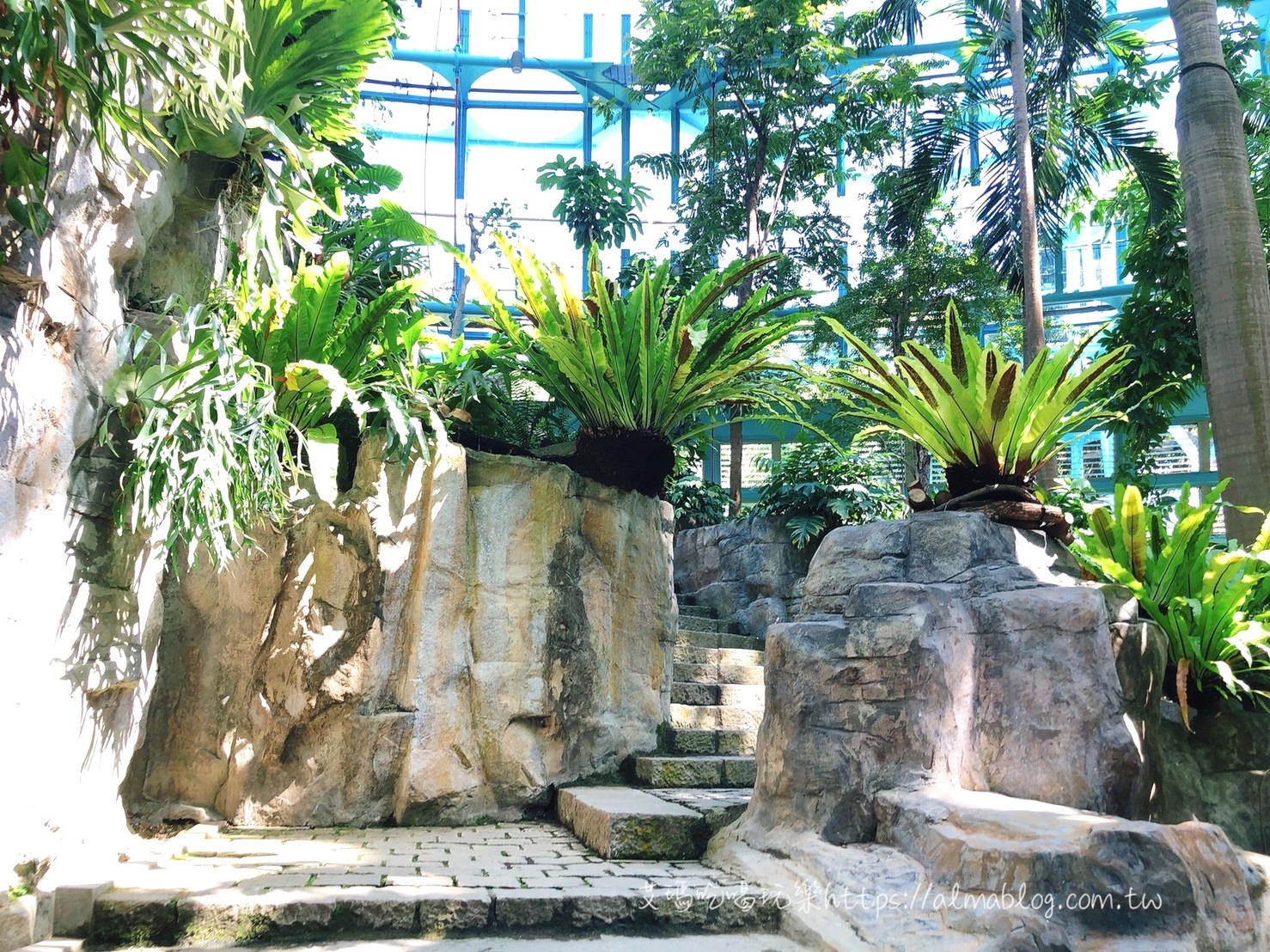 臺(tái)中科學(xué)博物館植物園