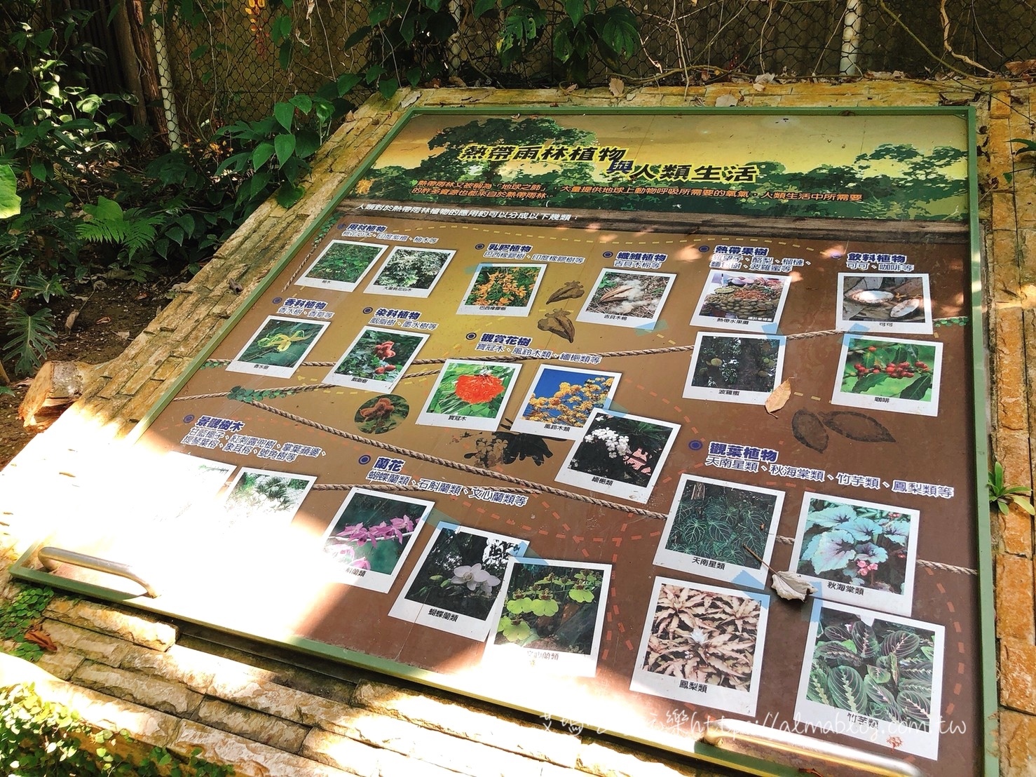 臺中科學博物館植物園