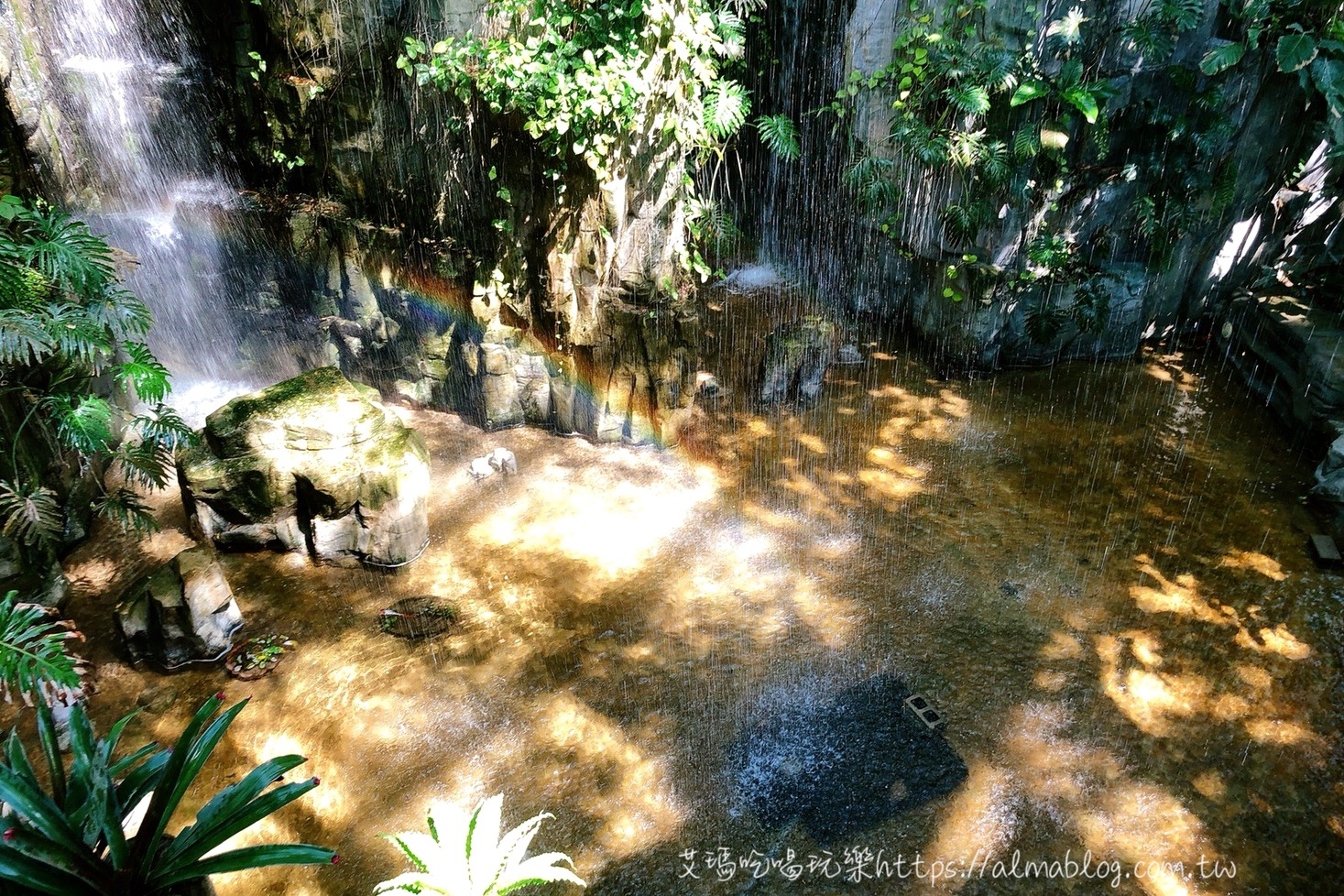 臺(tái)中科學(xué)博物館植物園