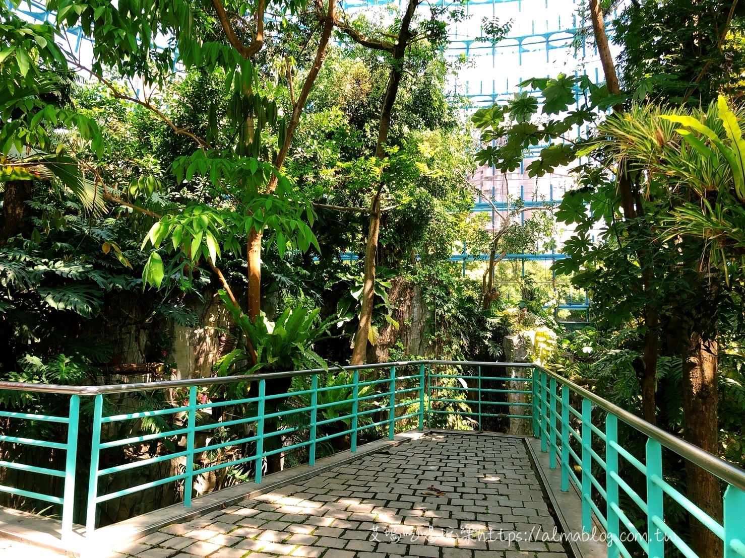 臺中科學(xué)博物館植物園