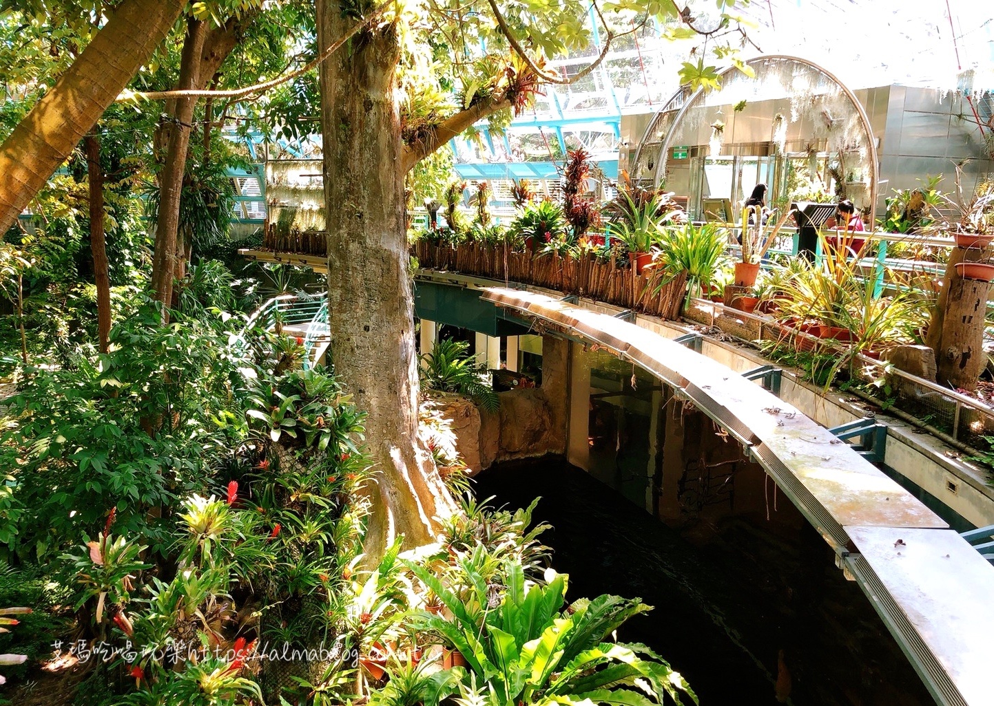 臺(tái)中科學(xué)博物館植物園