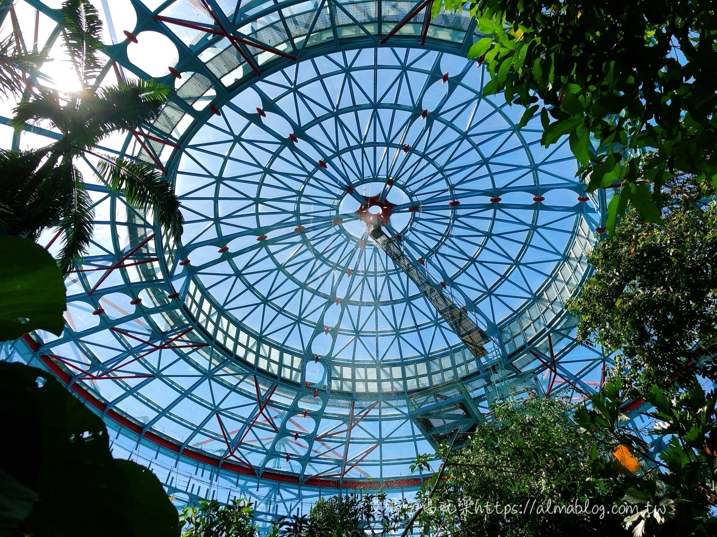 臺(tái)中科學(xué)博物館植物園