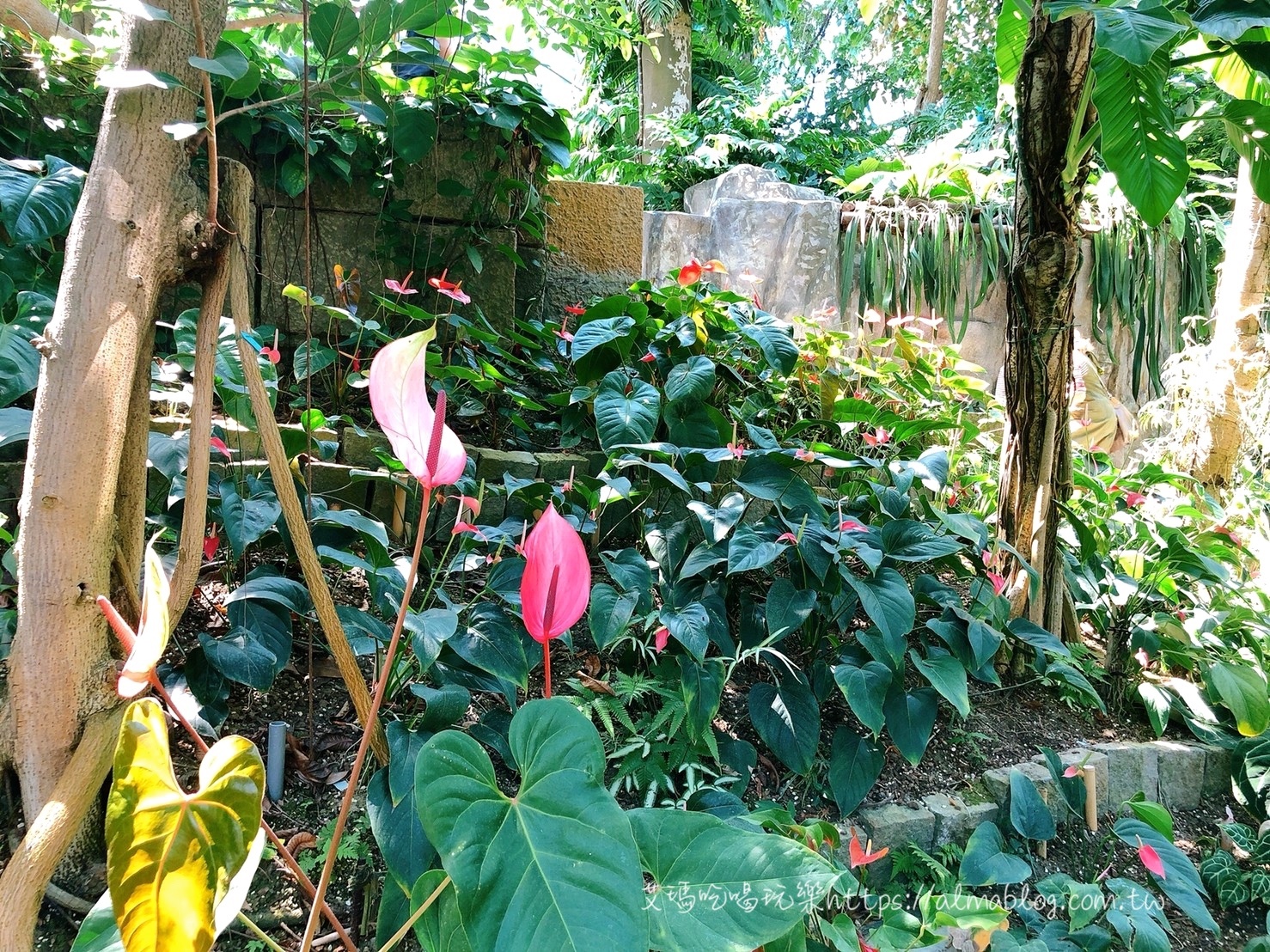 臺(tái)中科學(xué)博物館植物園