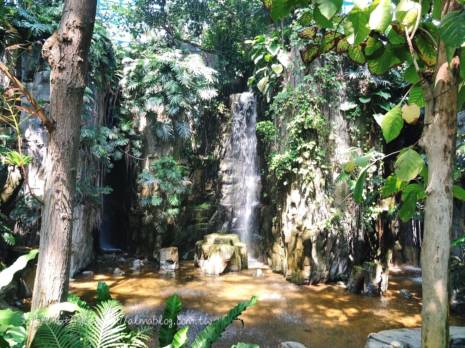 臺中科學(xué)博物館植物園