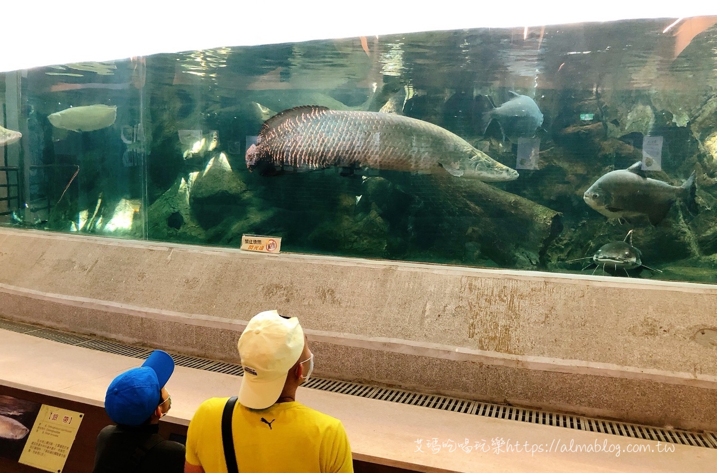 臺中科學(xué)博物館植物園