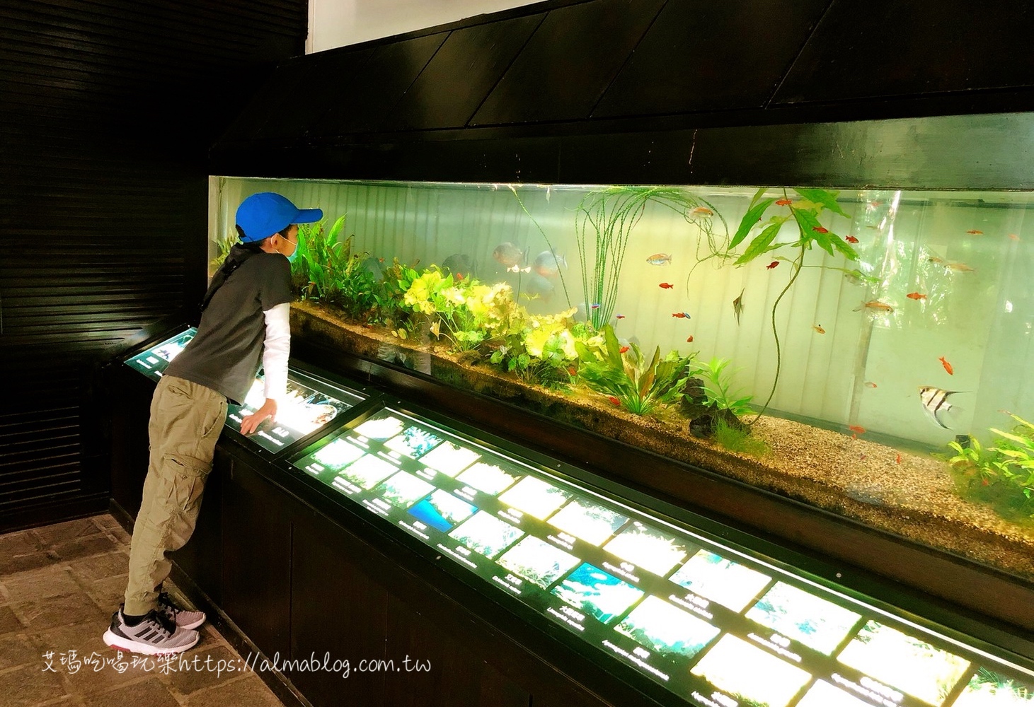 臺中科學(xué)博物館植物園