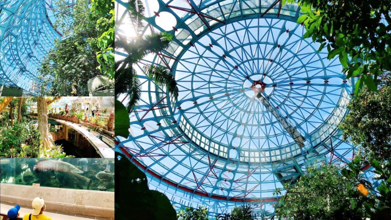 臺中科學(xué)博物館植物園,熱帶雨林溫室,週末親子遊,銅板門票,雨天備案 @艾瑪  吃喝玩樂札記