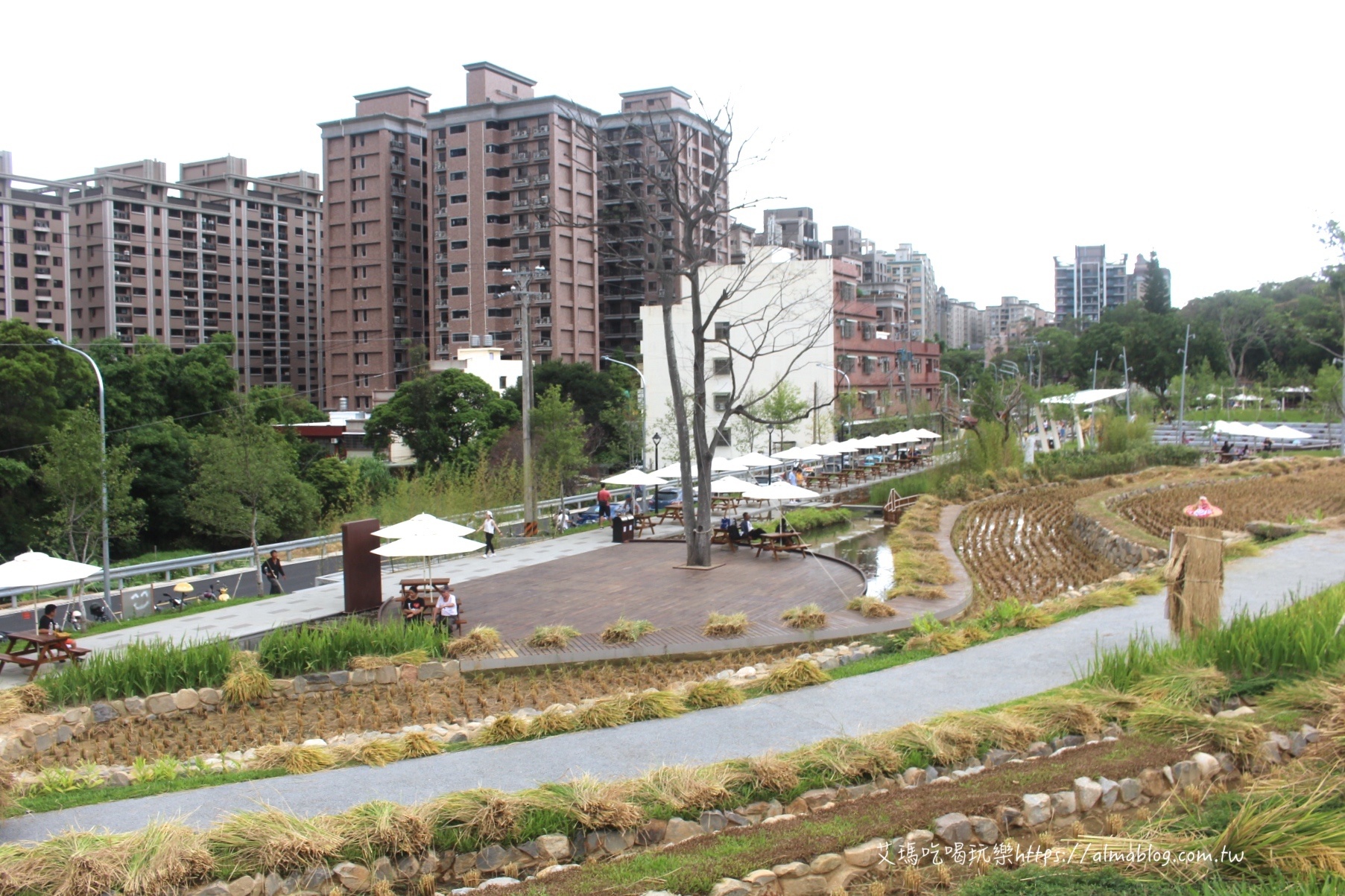 大有梯田生態公園