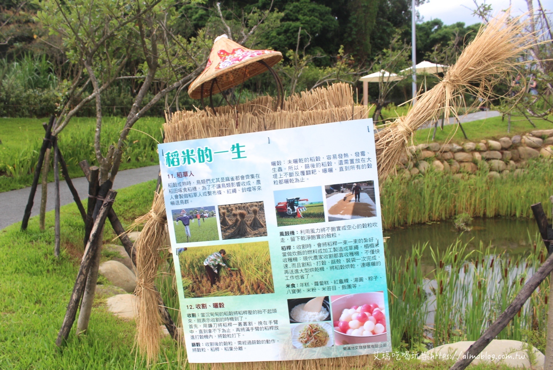 大有梯田生態公園