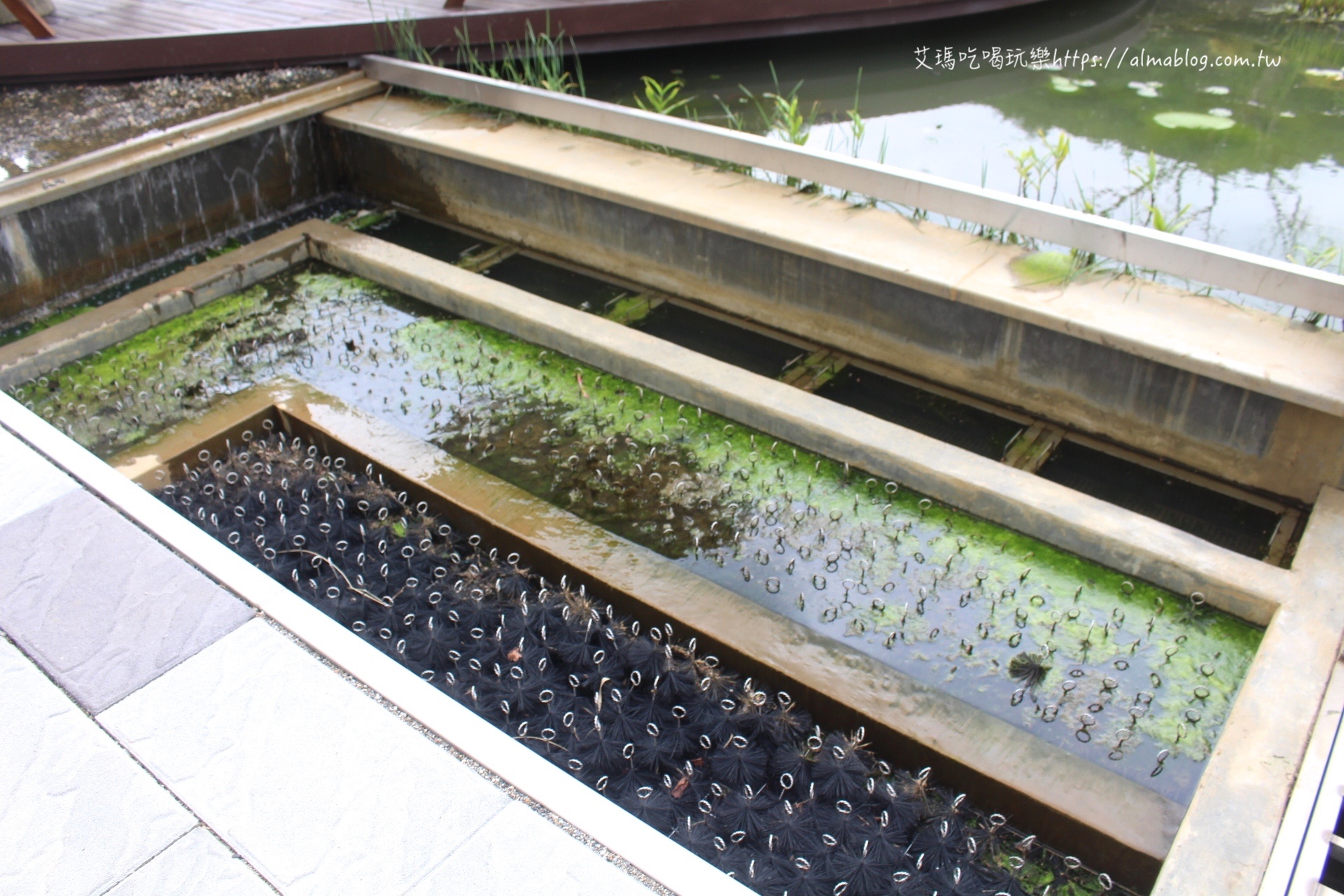 大有梯田生態公園