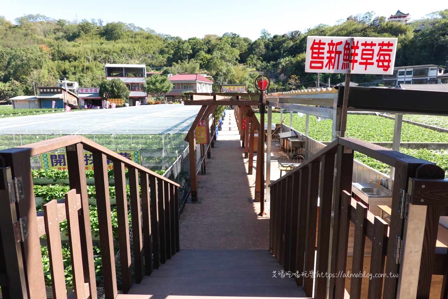 免費景點,苗栗好玩,苗栗景點,草莓冰,草莓文化館,草莓酒莊,草莓香腸