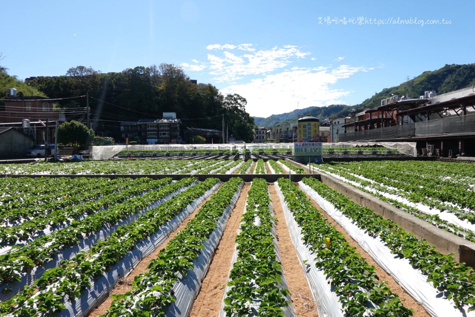 免費景點,苗栗好玩,苗栗景點,草莓冰,草莓文化館,草莓酒莊,草莓香腸