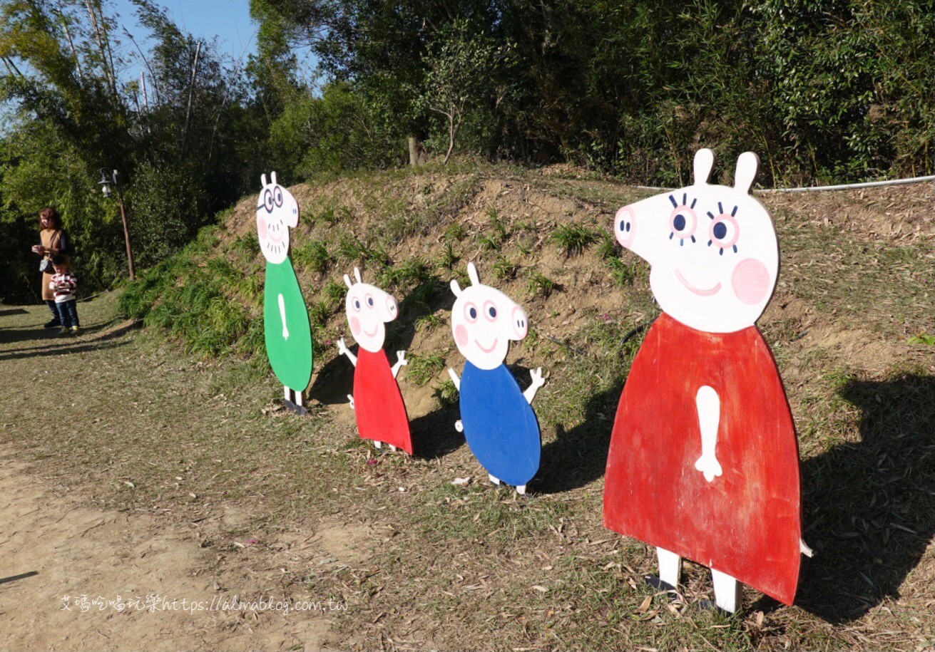 橙香森林，體驗森林採果，玻璃餐廳