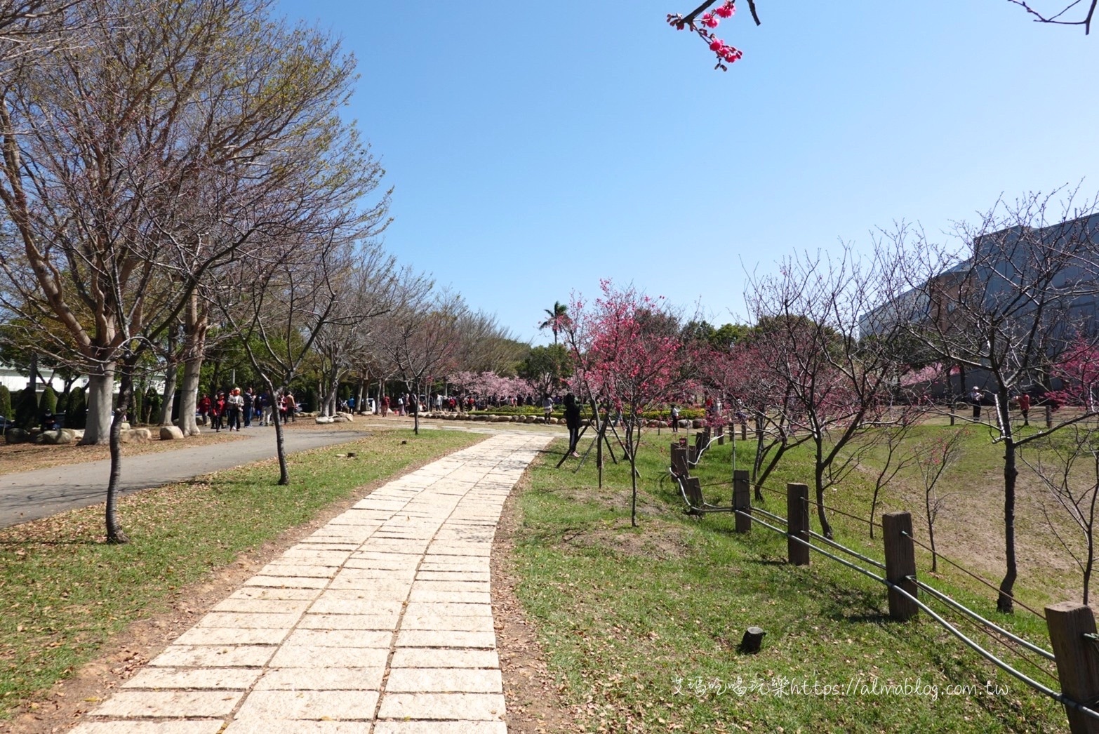 中科崴立櫻花公園