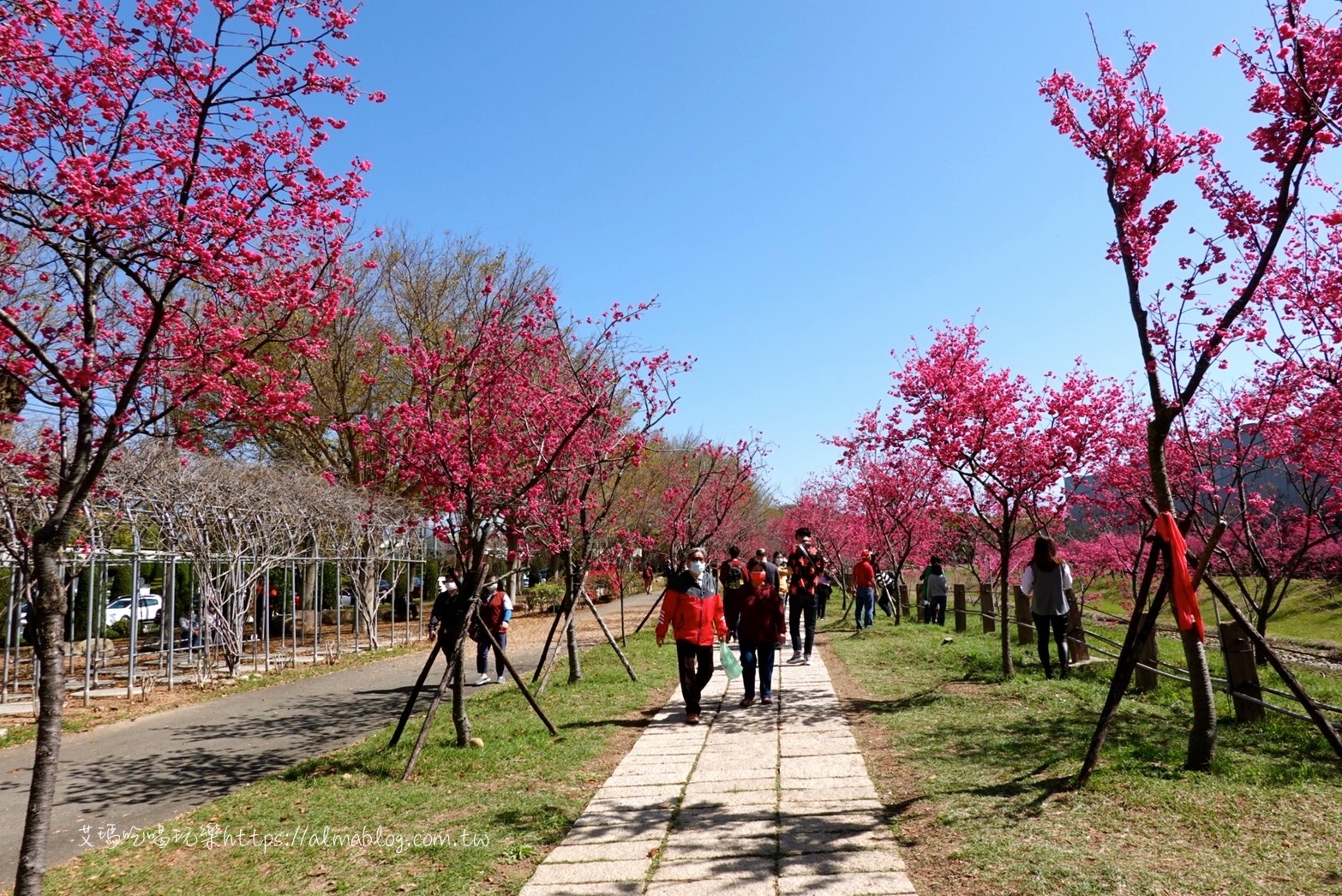 中科崴立櫻花公園