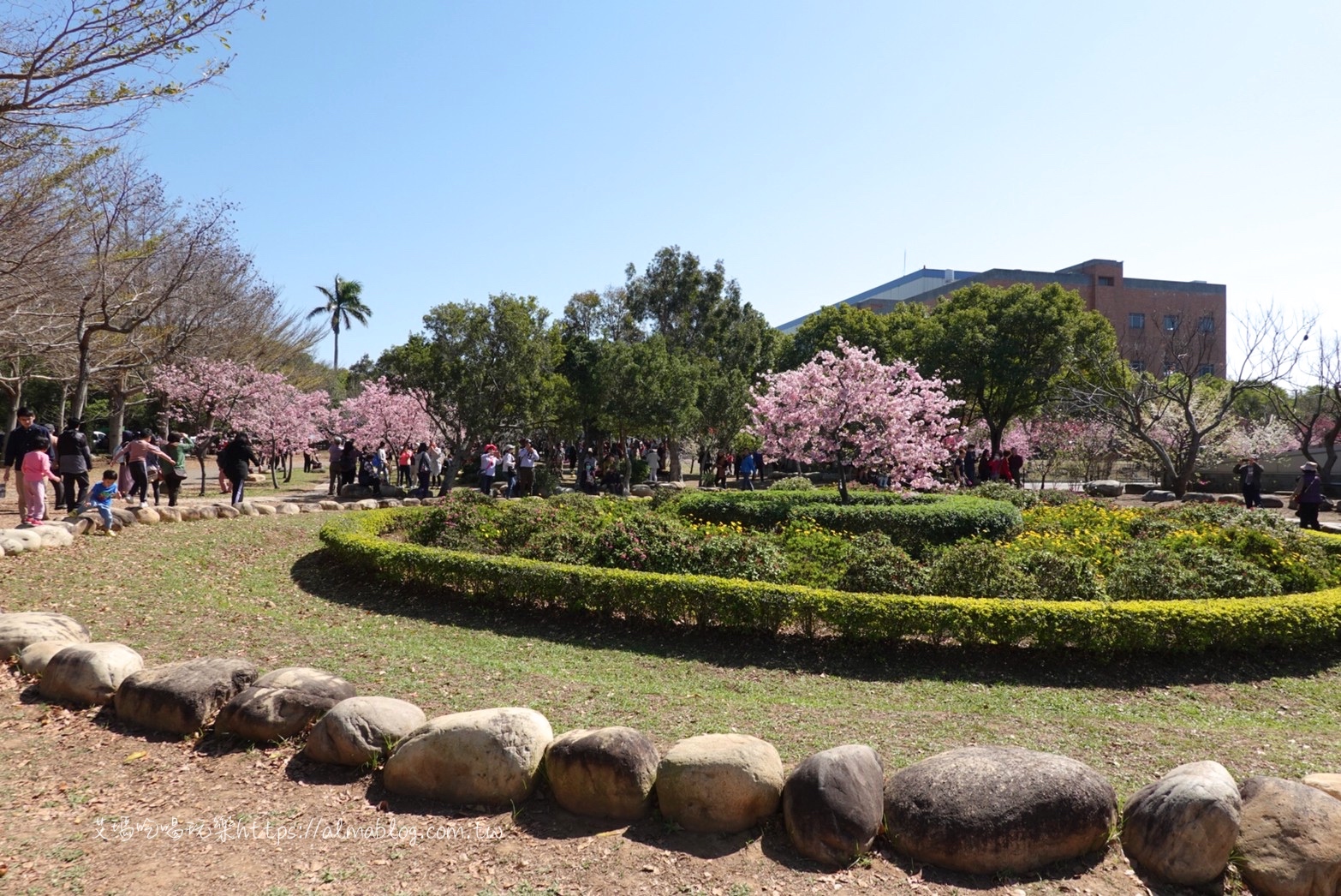 中科崴立櫻花公園