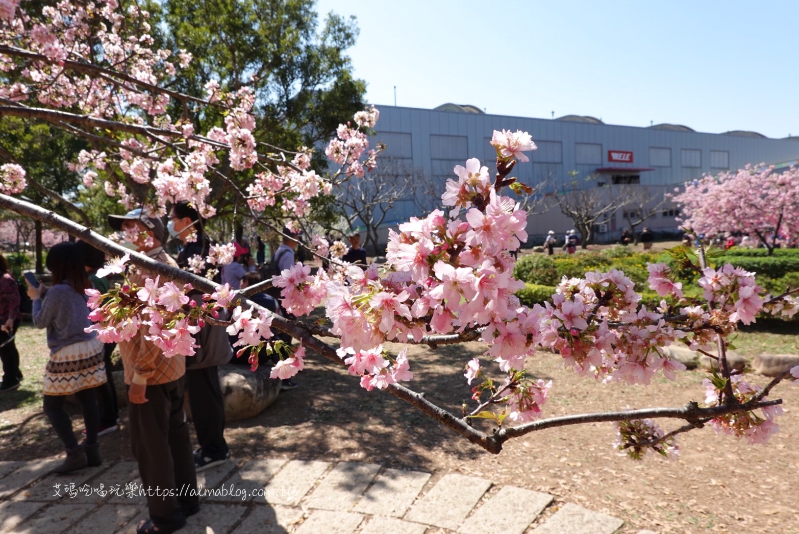 中科崴立櫻花公園