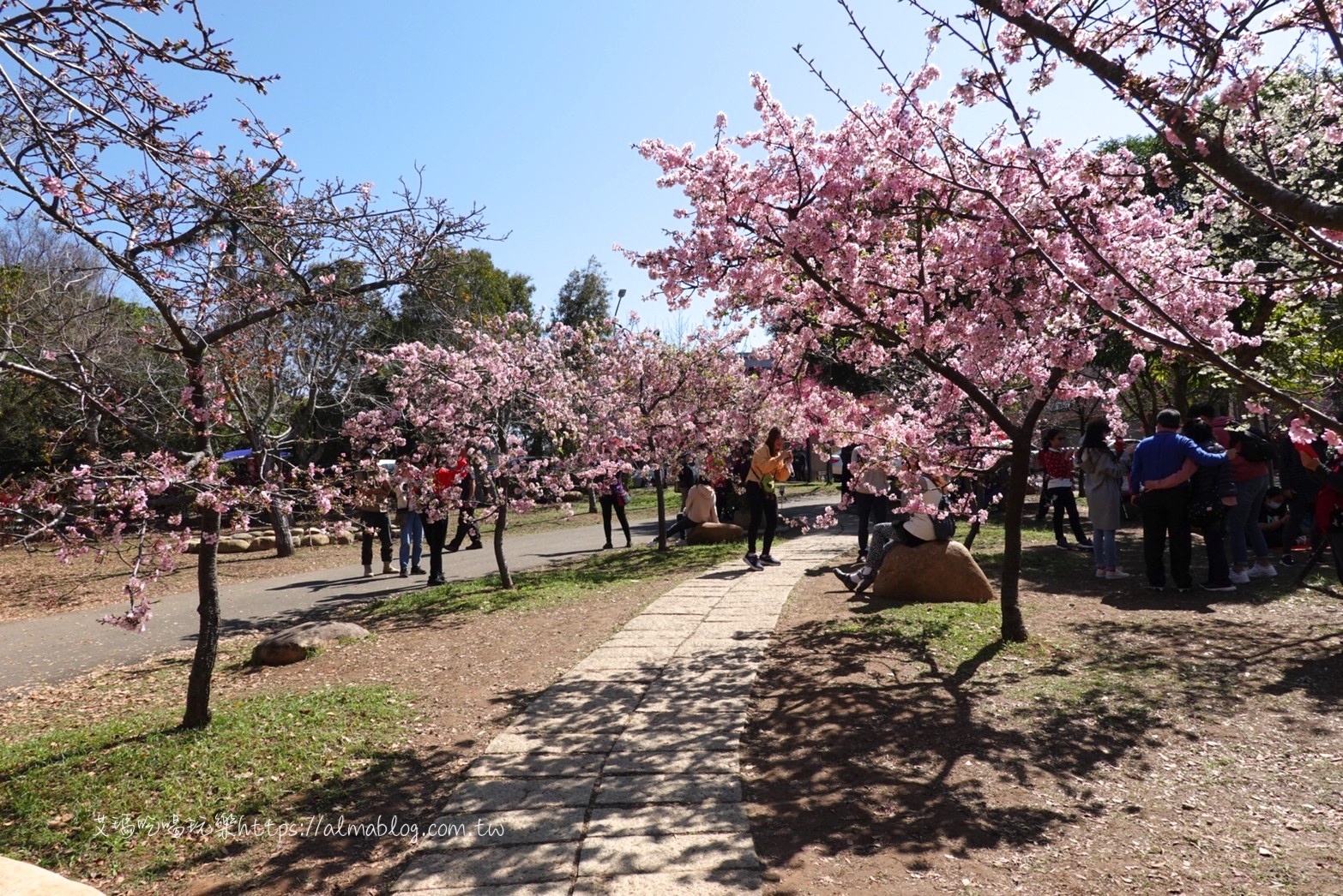 中科崴立櫻花公園