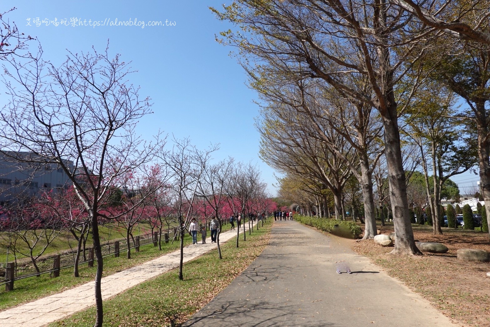 中科崴立櫻花公園