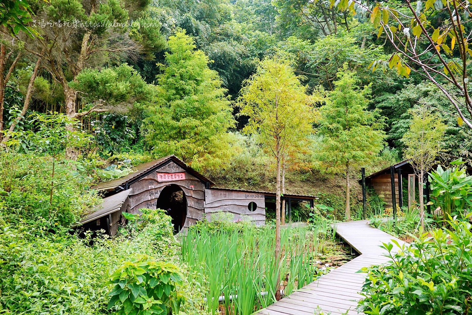 卓也小屋,卓也書園子,彩色包子,粉粿,苗栗景點