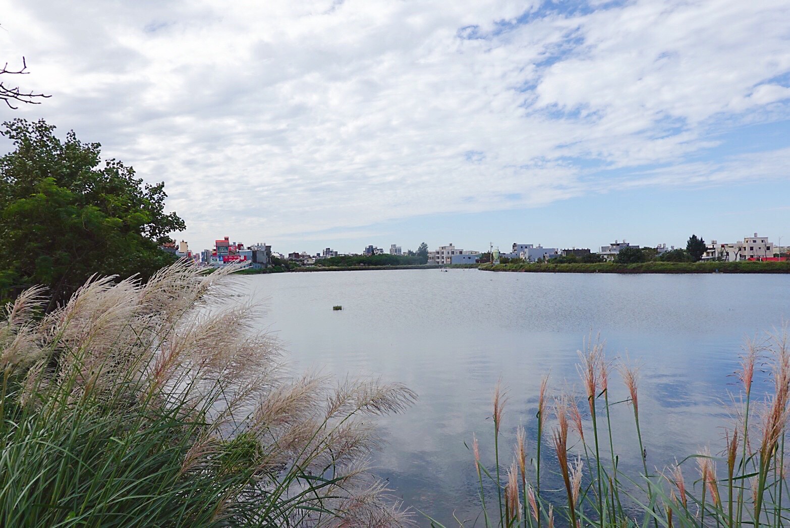 公園,水之丘主題公園,觀音草漯水之丘公園