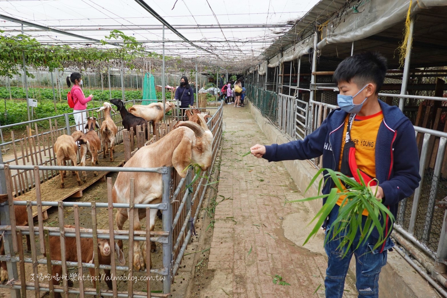 陽榮休閒農(nóng)場