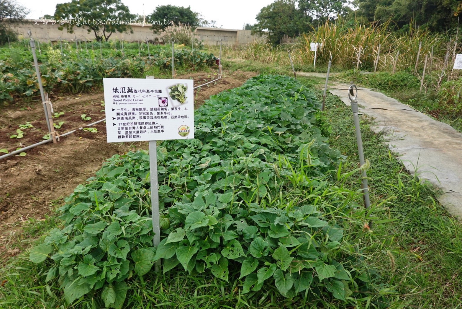 陽榮休閒農(nóng)場