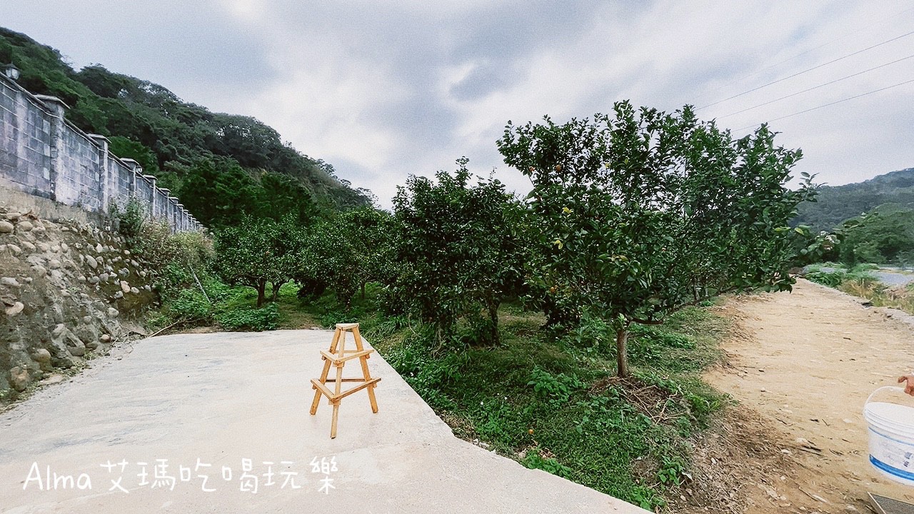 〖三和青創基地〗老屋廢棄雞舍改建文青基地．玩一下午不是問題，多肉植物DIY.親子餐廳.錦鯉園.釣魚樂.採砂糖橘