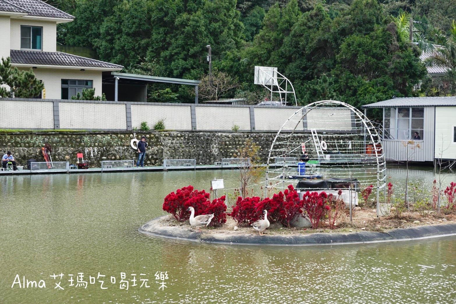 DIY採果,三和青創基地,多肉植物,新景點,桃園好玩,桃園美食,親子DIY,釣魚,龍潭景點