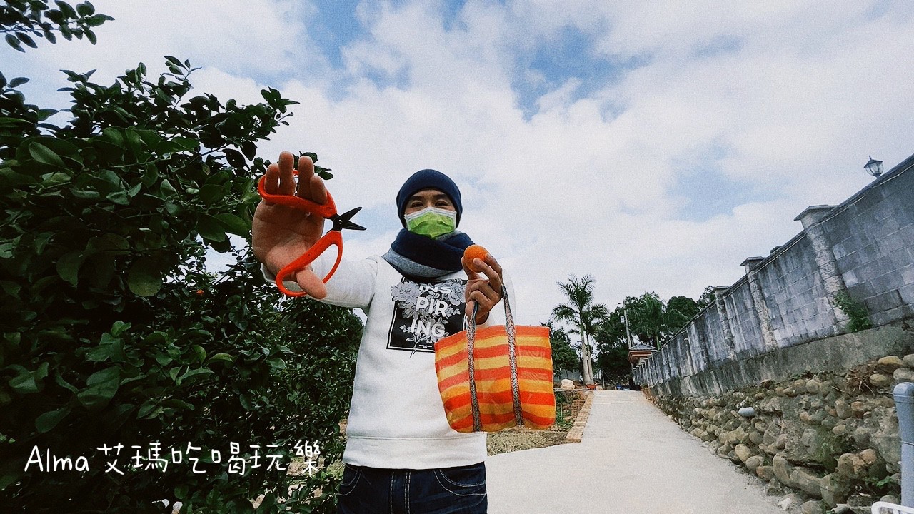 〖三和青創基地〗老屋廢棄雞舍改建文青基地．玩一下午不是問題，多肉植物DIY.親子餐廳.錦鯉園.釣魚樂.採砂糖橘