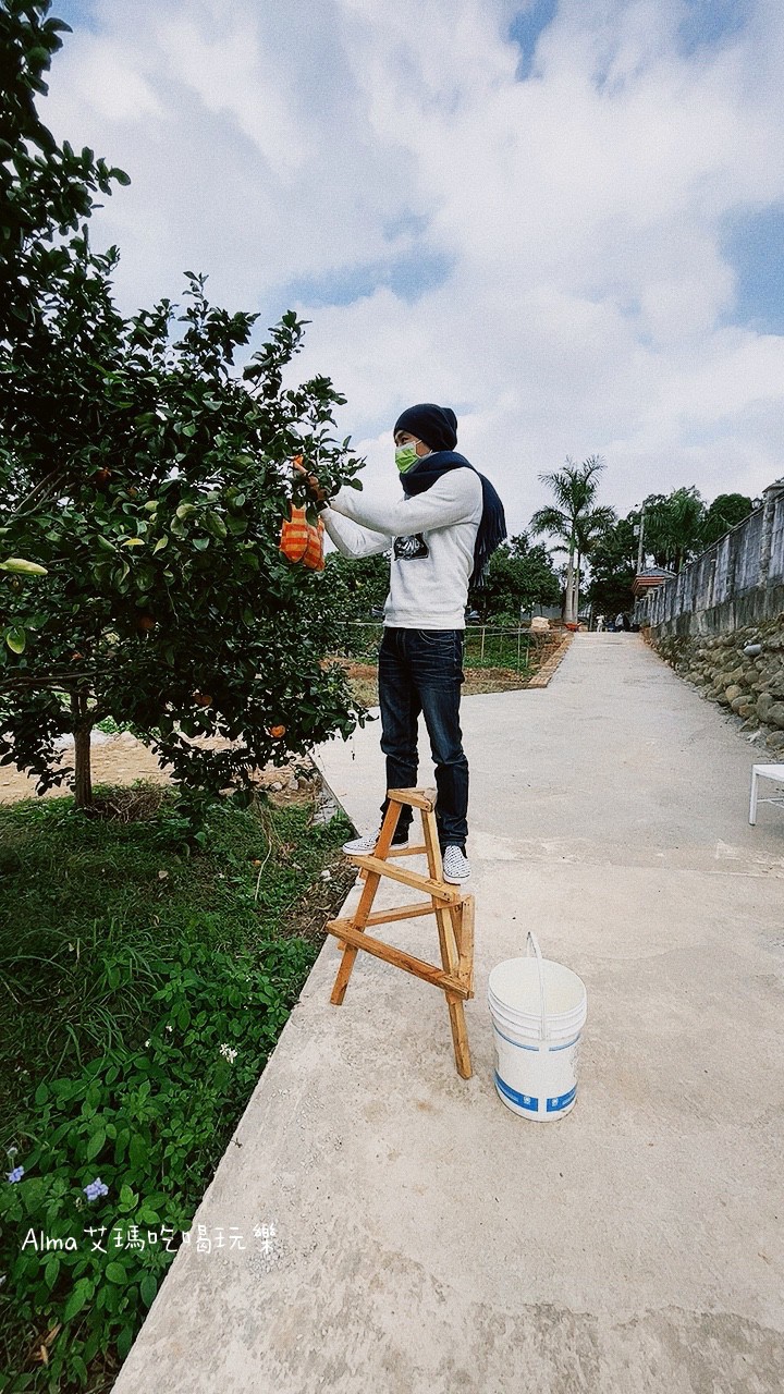 DIY採果,三和青創基地,多肉植物,新景點,桃園好玩,桃園美食,親子DIY,釣魚,龍潭景點