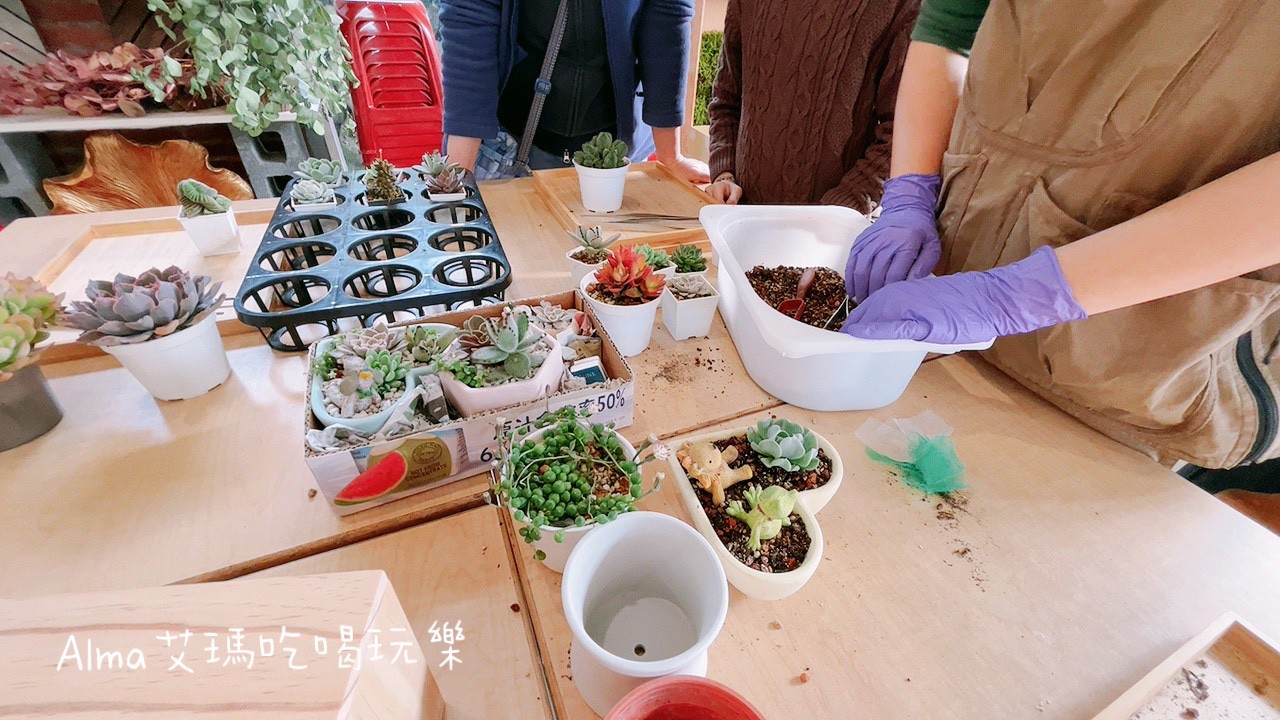 〖三和青創基地〗老屋廢棄雞舍改建文青基地．玩一下午不是問題，多肉植物DIY.親子餐廳.錦鯉園.釣魚樂.採砂糖橘