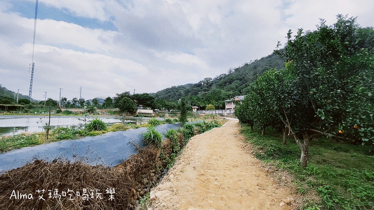 DIY採(cǎi)果,三和青創(chuàng)基地,多肉植物,新景點(diǎn),桃園好玩,桃園美食,親子DIY,釣魚,龍?zhí)毒包c(diǎn)